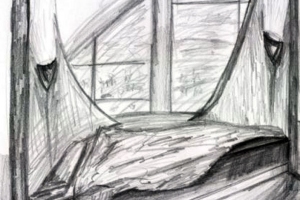 Year 1 - Terrace Infill project & landscape installation
