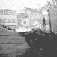 Coastal Regeneration - Views both ways